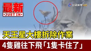 天王星大樓拆除作業 4隻雞往下飛「1隻卡住了」【最新快訊】