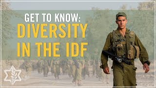 Diversity in the IDF