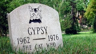 Life As A Pet Mortician
