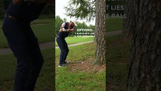 Can you get free relief from a tree root? Here's what you need to know about this rule of #golf 🌳