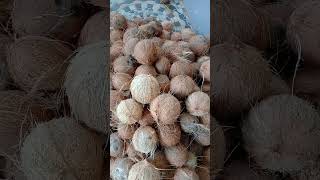 Today coconut selling price is Rs 22/kg