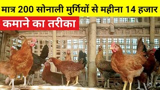 मात्र 200 सोनाली मुर्गियों से हर महीना 14 हजार कमाने का तरीका(200 sonali murgi palan)