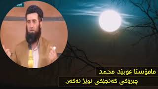 بینەری بن بڵاوی بکەنەوە