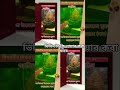 নবীজির পাগড়ী মোবারক islamicvideo shortvideos ytshorts allah islamicstatus viral youtubeshorts nhs