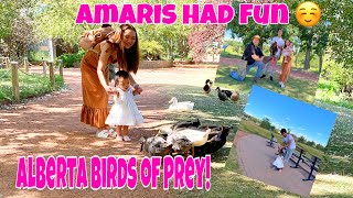 ALBERTA BIRDS OF PREY. AMARIS FIRST TIME 😍 || Pearl ❤️