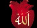Acquire a Living Heart (Qalb-e-Saleem) through Qalbi Zikr & Muraqaba
