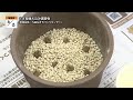 さぎ草植え込み講習会【地モトnews】2024 2 12放送