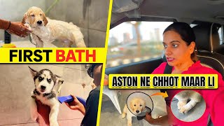 kyaa hua Aston ko|first bath for Aston-Martin|Swati Soni Dayal#goldenretriever #