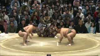 Harumafuji Y1e vs Toyonoshima M4e