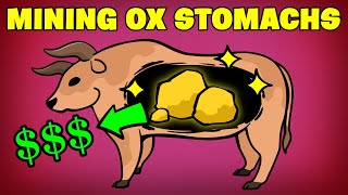 Miraculous Ox Digestive Stones in Japan