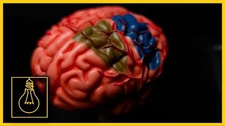 Meth Can Damage the Brain Like Traumatic Brain Injuries, One Treatment is Helping | Solutionaries