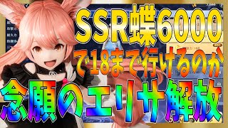 【グランサガ】ようやくSSRガーディアンエリサ解放！SSR蝶6000個あるから１８解放狙ってみたら、、、【gran saga】