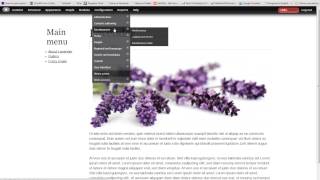 Responsive and Adaptive images in Drupal 7