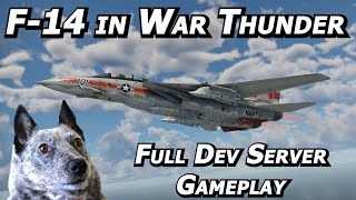 F-14 Tomcat Dev Server Gameplay - Real Pilot Plays War Thunder