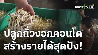 เกษตรทำเงิน : ปลูกถั่วงอกคอนโด | 17 ก.ย. 66 | ตะลอนข่าวสุดสัปดาห์