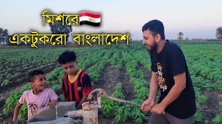 মিশরের গ্রাম | Egyptian village 🇪🇬