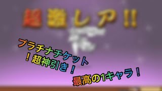 【にゃんこ大戦争】プラチケ引いてみたらまさかの…？！