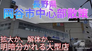 岡谷市ってどんな街? 大型商業施設の格差が凄かった...【長野県】(2021年)