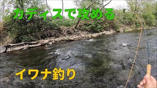 オリジナル・カディス(セッジ)で攻める・イワナ３８は出たが / フライフィッシング　北海道 / Fly Fishing - Japan