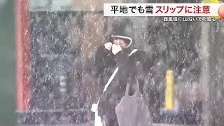 宮城県内 平地でも雪 スリップ事故は５８件１人けが 夜も強い寒気の影響続く 路面凍結に注意を (25/02/18 17:50)