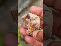 mesmerizing brown calcite crystal cluster from sri lanka nature s hidden treasure