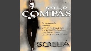 Flamenco Solea Solo Compas 90