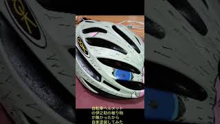 自転車のヘルメットを伊之助の被り物みたいに自家塗装してみた