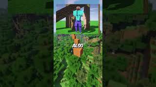 Mindblowing Minecraft Thoughts 36