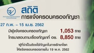 'เลขาธิการ อย.' เผยมีผู้แจ้งครอบครองกัญชาแล้ว 1,053 ราย ย้ำหมดเขตวันสุดท้าย 19 พ.ค.นี้