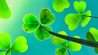 Top 10 Best Nature Wallpapers - Wallpaper Engine