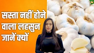 Garlic Price Hike: क्यों बढ़ रहे हैं लहसुन के दाम? कब कीमतों में आएगी गिरावट,देखें रिपोर्ट|Kisan Tak