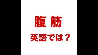 【腹筋　英語では？ 】「動画で観る！聴く！英語辞書動画」