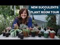 New Succulents + Plant Room Tour! 🌿🌵😊 // Garden Answer