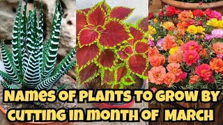 मार्च में कट्टिंग से लगने वाले पौधों के नाम / Permanent Plants to grow by cutting in month of March