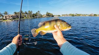 4 Hours of RAW and UNCUT Ultralight Fishing with Gulp Minnows | Lake Ida Florida