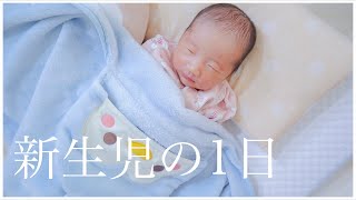 【24時間密着】新生児のとある1日【生後7日目】