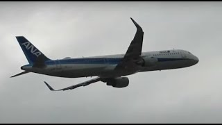 大阪伊丹空港　Plane Spotting at Osaka Itami Airport 02/02/2025