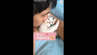 子猫にチュー😚するとツンデレなおかえしが…💕 #Shorts