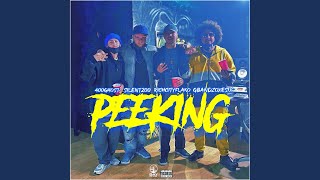 Peeking (feat. 400Ghost, Gbandzoxesix \u0026 RichCityFlako)