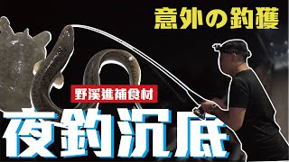 【搞野系列】本來只想釣鱉來進補 居然意外釣到鱸鰻 ! ?｜搞野Ep.1｜夜釣沉底｜九班的日常生活｜#釣魚#夜釣#沉底#無磷類#鱉#鱸鰻