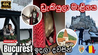 රුමේනියාවේ ඩ්‍රැකියුලා මාළිගාවට දවසින් යමු | Bran Castle, Romania 🏰🧛‍♀