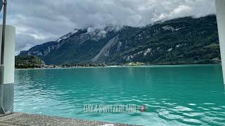 Turquoise water only in Lake Brienz  Interlaken Switzerland, just beautiful nature.