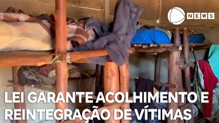 Legislação brasileira garante acolhimento e reintegração de vítimas de trabalho escravo