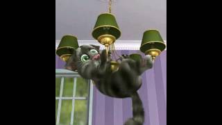 Talking Tom 2