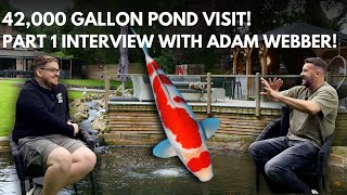 Interview with Adam Webber - Inside MASSIVE 42,000 Gallon Koi Pond