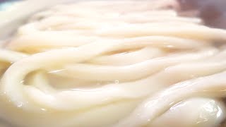 新食感のうどん!!太麺好きに絶対に食べてほしい!!麺肌ふわっと中もっちりな讃岐うどんの名店【海侍】【香川県のおすすめ讃岐うどん】