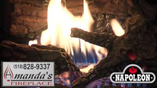 Amanda's Napoleon Wood Stoves