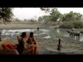 Experience Africa with African Bush Camps