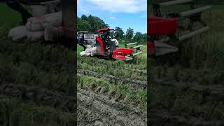 YANMAR YH 850 COMBINE HARVESTER | RAJANYA LUMPUR PETANI INDONESIA