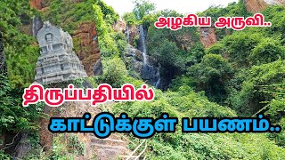 திருப்பதி காட்டில் பயணம் - Hidden Place in Tripathi - Jungle Book Park